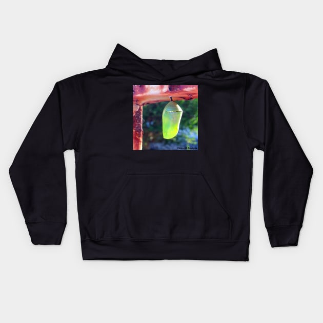 Monarch Chrysalis (2018) Kids Hoodie by 13mtm80-Designs